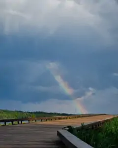 Tattoo +7 (926) 254-72-50 • (30.10.2025) • kot-ink.ru • Тату Мастер - Алексей Кот (tattoo artist) kot 399