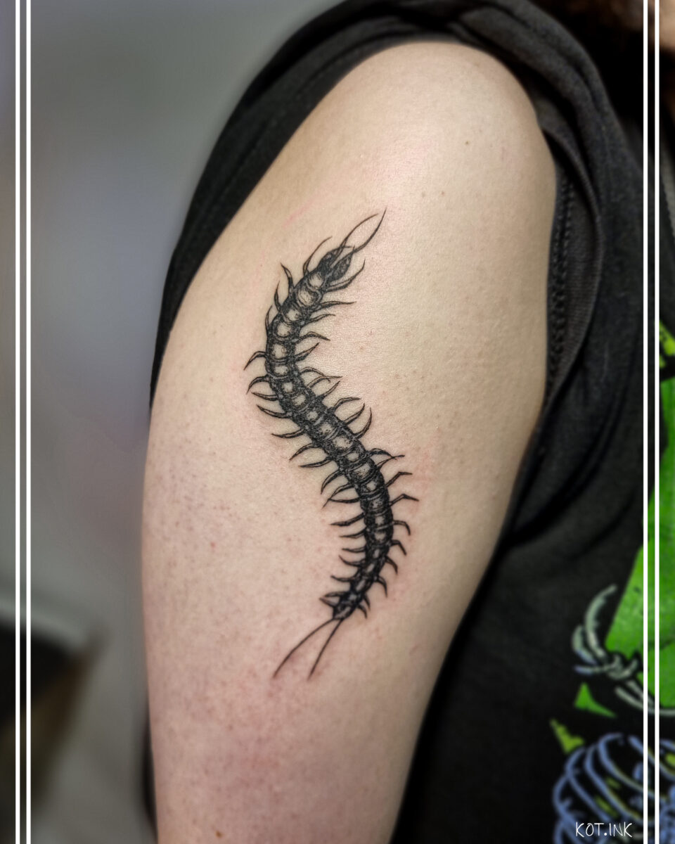Тату в Солнечногорске - Галерея • 45 • kot-ink.ru Tattoo +7 (926) 254-72-50 • (14.10.2025) • kot-ink.ru • Тату Мастер - Алексей Кот (tattoo artist) g2 to