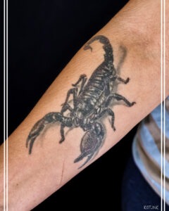 Tattoo +7 (926) 254-72-50 &bull; (18.07.2026) &bull; kot-ink.ru &bull; Тату Мастер - Алексей Кот (tattoo artist) ki 1
